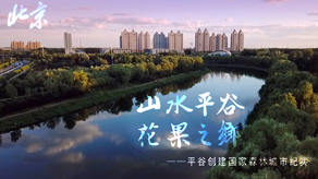 北京森林城市创建申报宣传片_雷速体育app官网